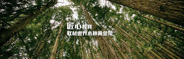幻灯片