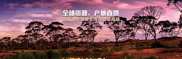 幻灯片